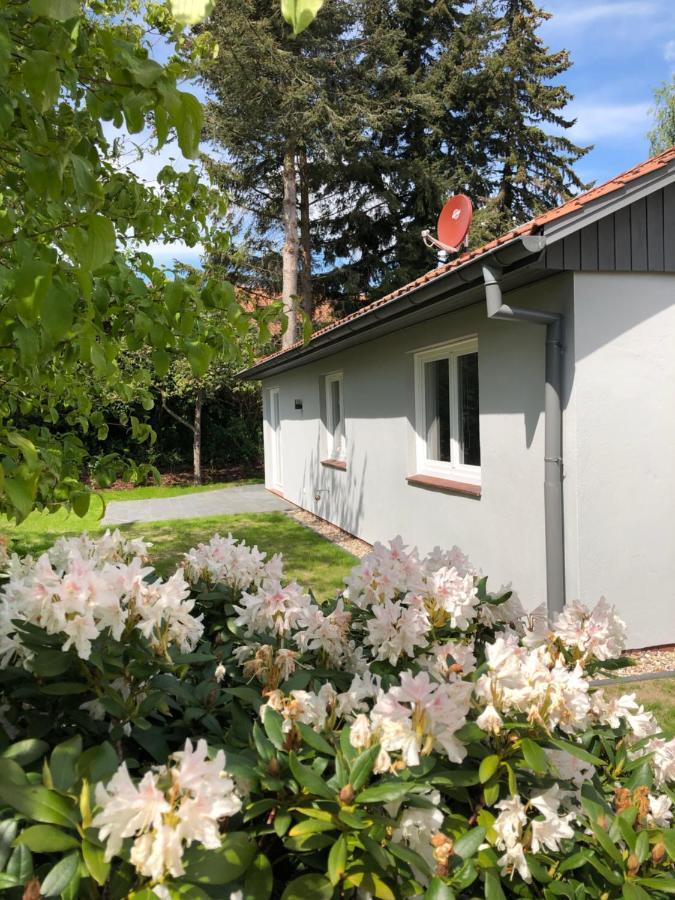 Villa Kleine Auszeit In Salzhausen Esterno foto